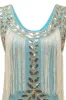 Blue Apricot Gatsby 1920s Dress with Sequins and Fringes sold by Zapaka