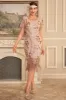 Sparkly Blush Fringed 1920s Flapper Dress sold by Zapaka