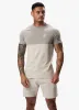 Gym King Contrast Panel Jersey Tee - Light Stone/Taupe/White sold by The Gym King