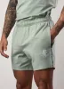 Gym King Taped Jersey Short - Frosted Sage sold by The Gym King