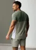 Gym King Contrast Panel Tee -  Fern Green/Soft Khaki/White sold by The Gym King