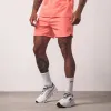 Gym King Relentless 4" Short - Coral Punch sold by The Gym King