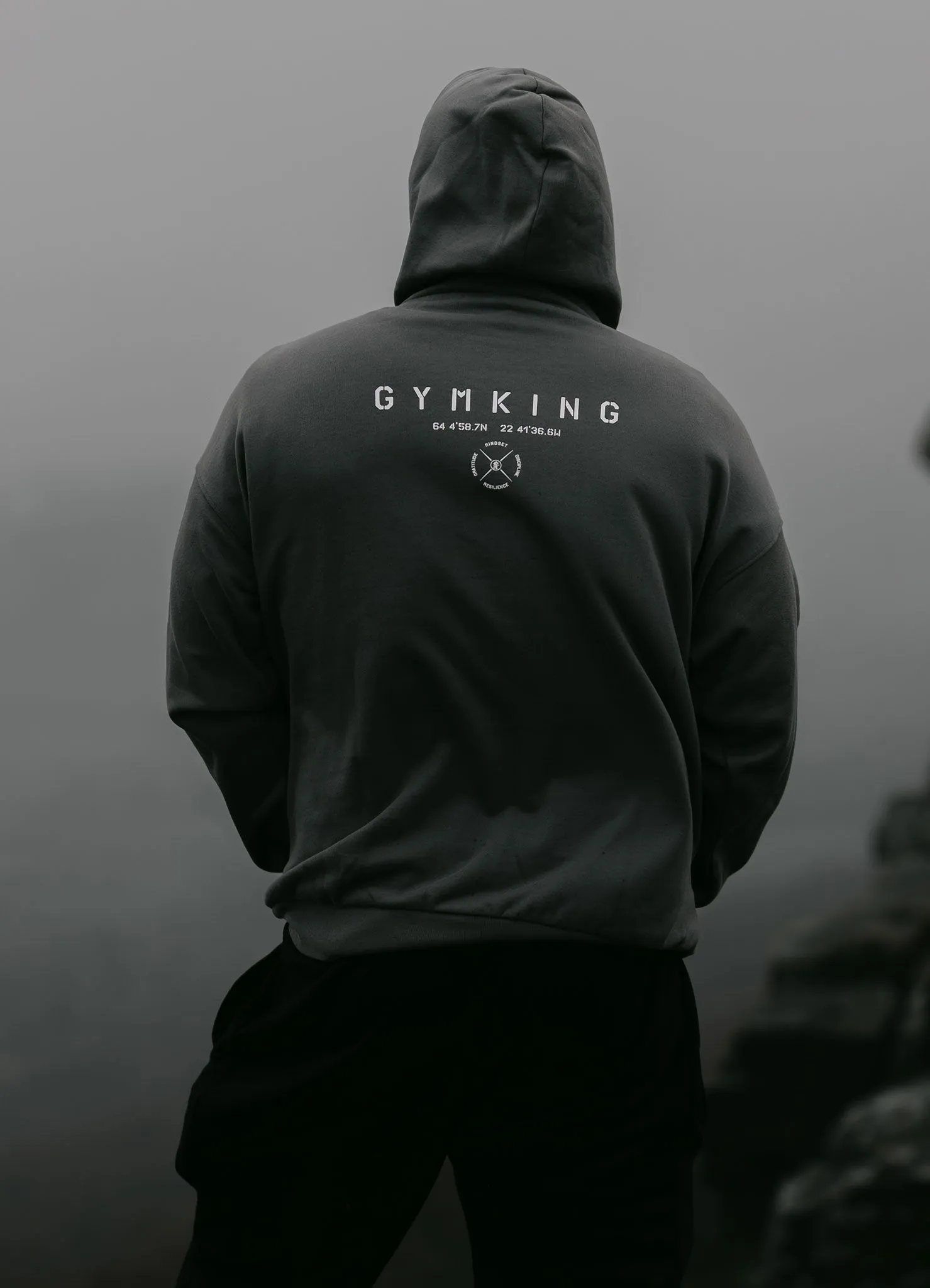 Gym King Stoic Esja Loopback Hood - Fossil Grey sold by The Gym King product image thumbnail 3