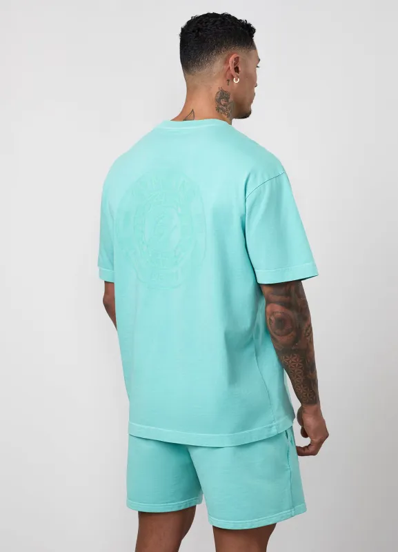 Gym King World Distressed Graphic Washed T-Shirt - Poolside Green made by The Gym King