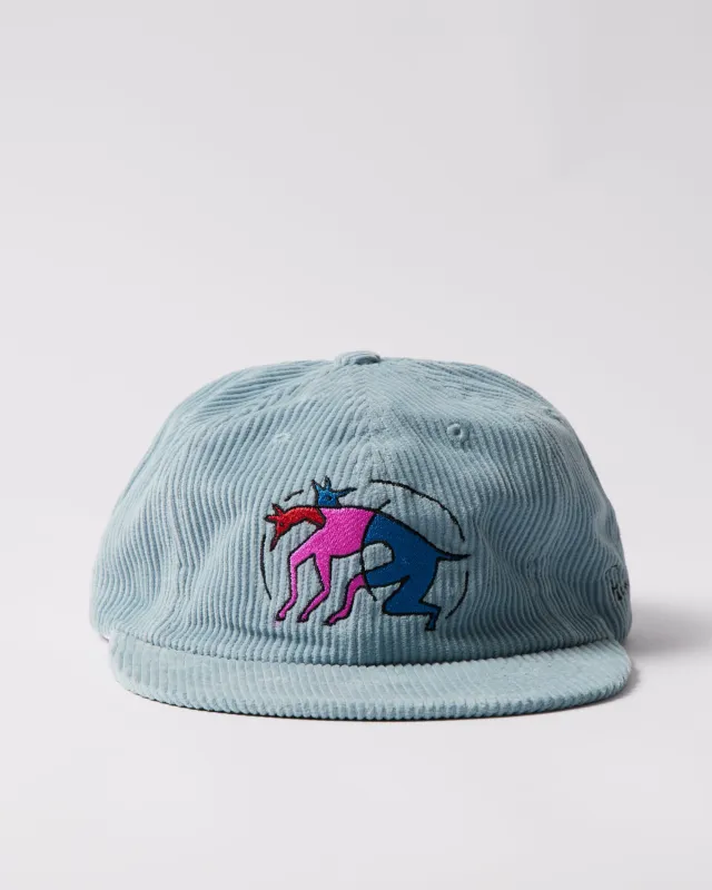 The zoomies 6 panel hat made by by Parra