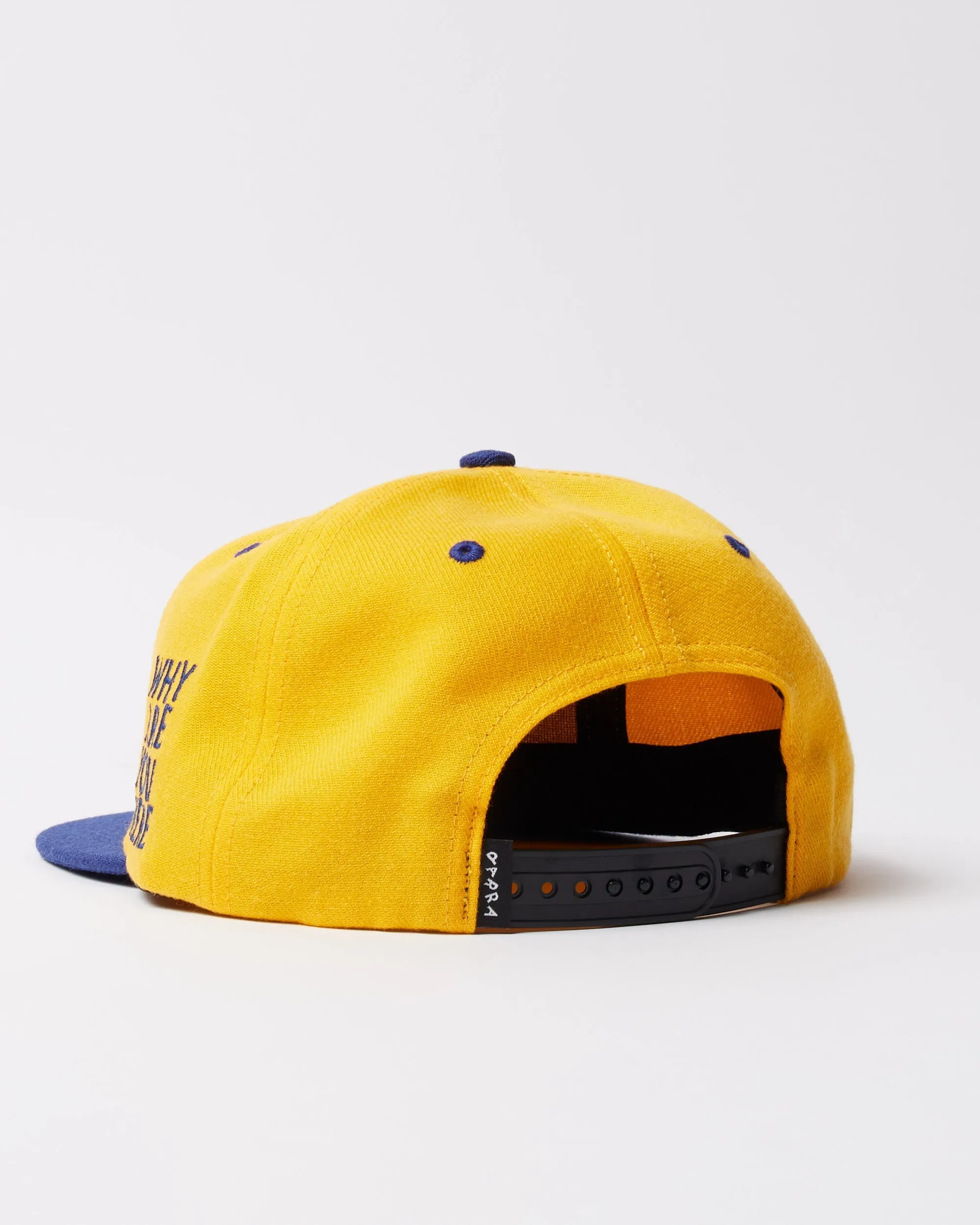 Dollar store 6 panel hat sold by by Parra product image thumbnail 3