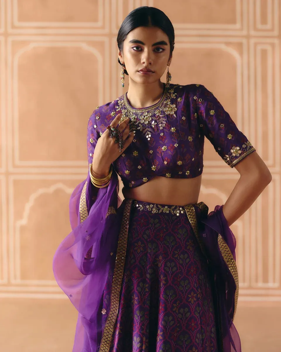 Imperial Violet Panel Lehenga sold by Market product image thumbnail 4