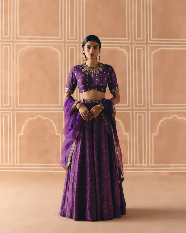 Imperial Violet Panel Lehenga made by Market