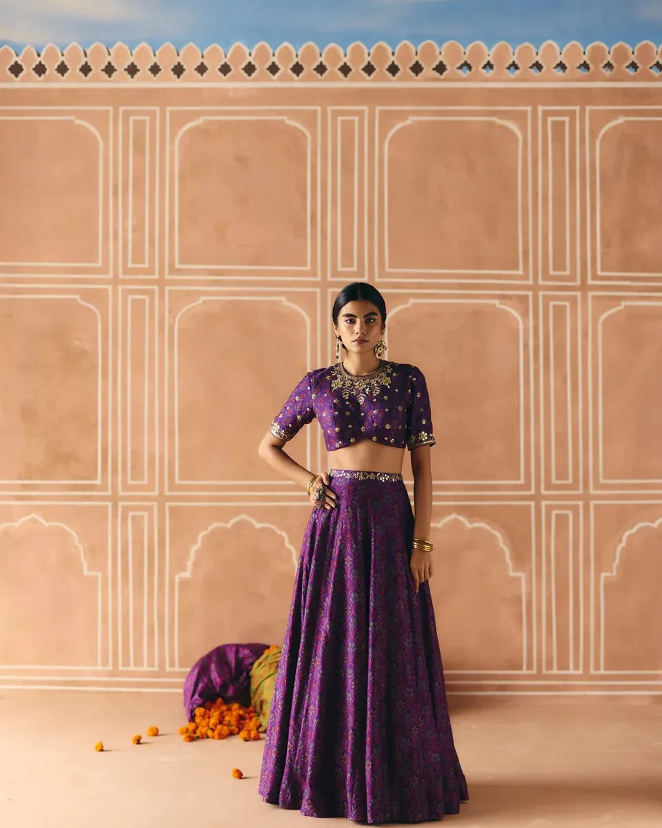 Imperial Violet Panel Lehenga sold by Market product image thumbnail 3