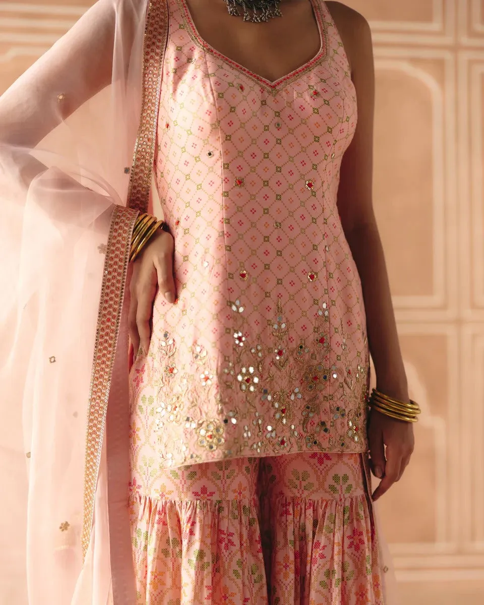 Blush Pink Sharara sold by Market product image thumbnail 3