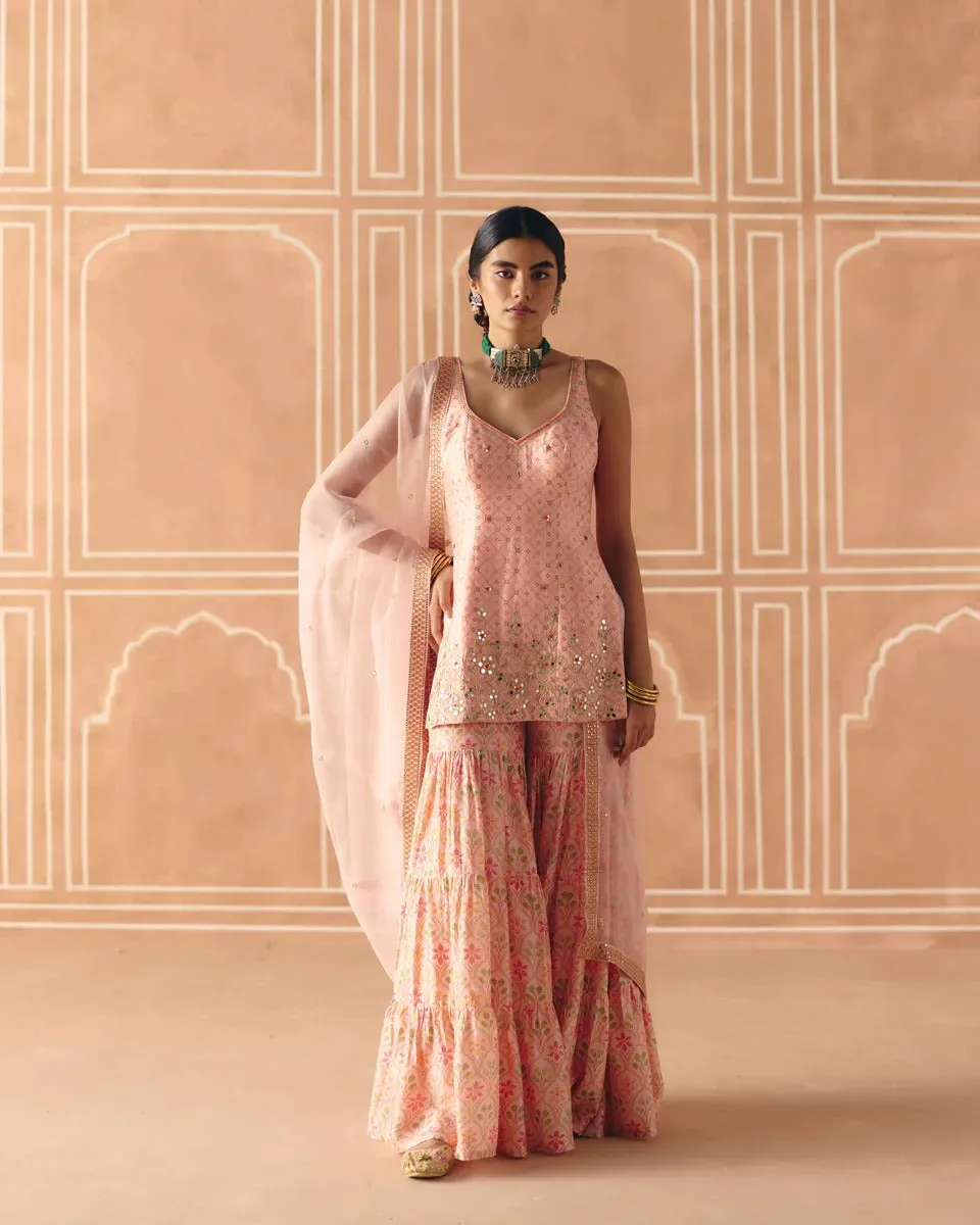 Blush Pink Sharara sold by Market