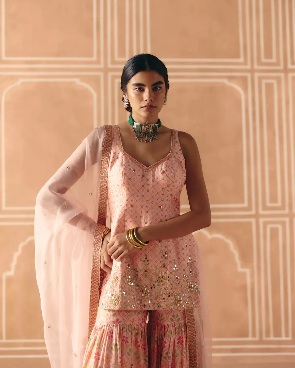 Blush Pink Sharara sold by Market product image thumbnail 2