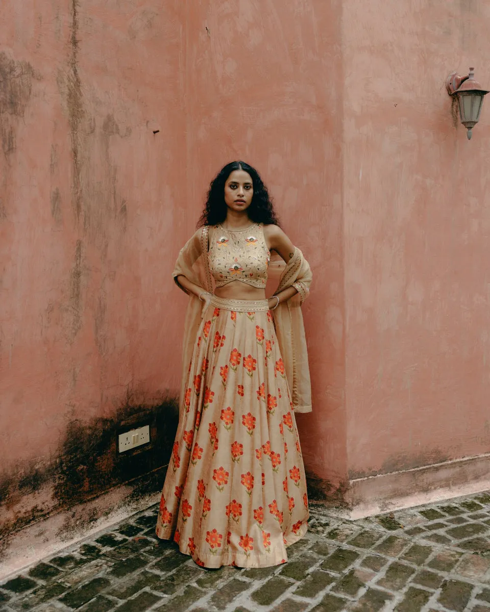 Biscuit Brown Lehenga sold by Market product image thumbnail 3