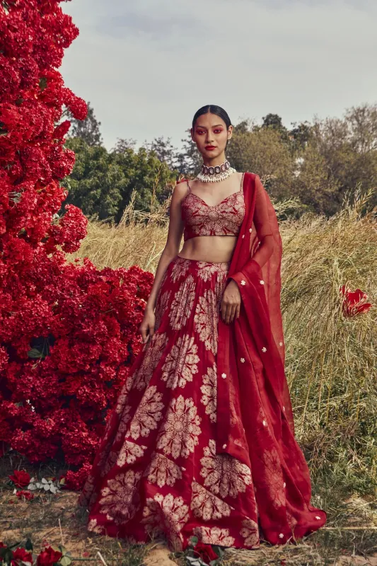 Red Tara Print Lehenga Set made by Market