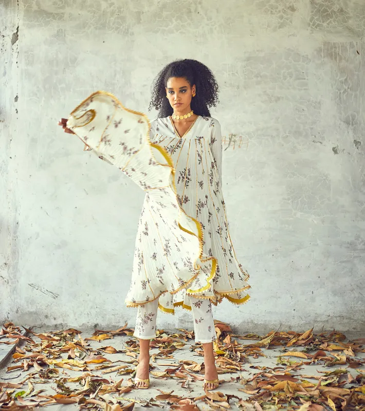 Gulbahaar Set made by Market