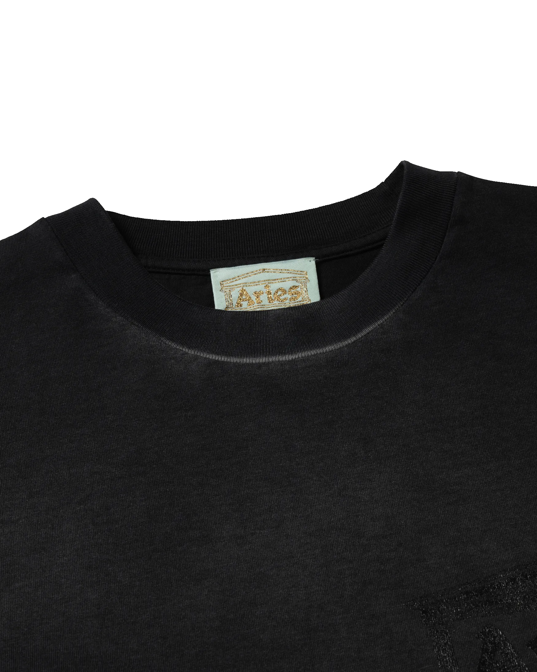 Sunbleached Ancient Temple SS Tee sold by ARIES product image thumbnail 3