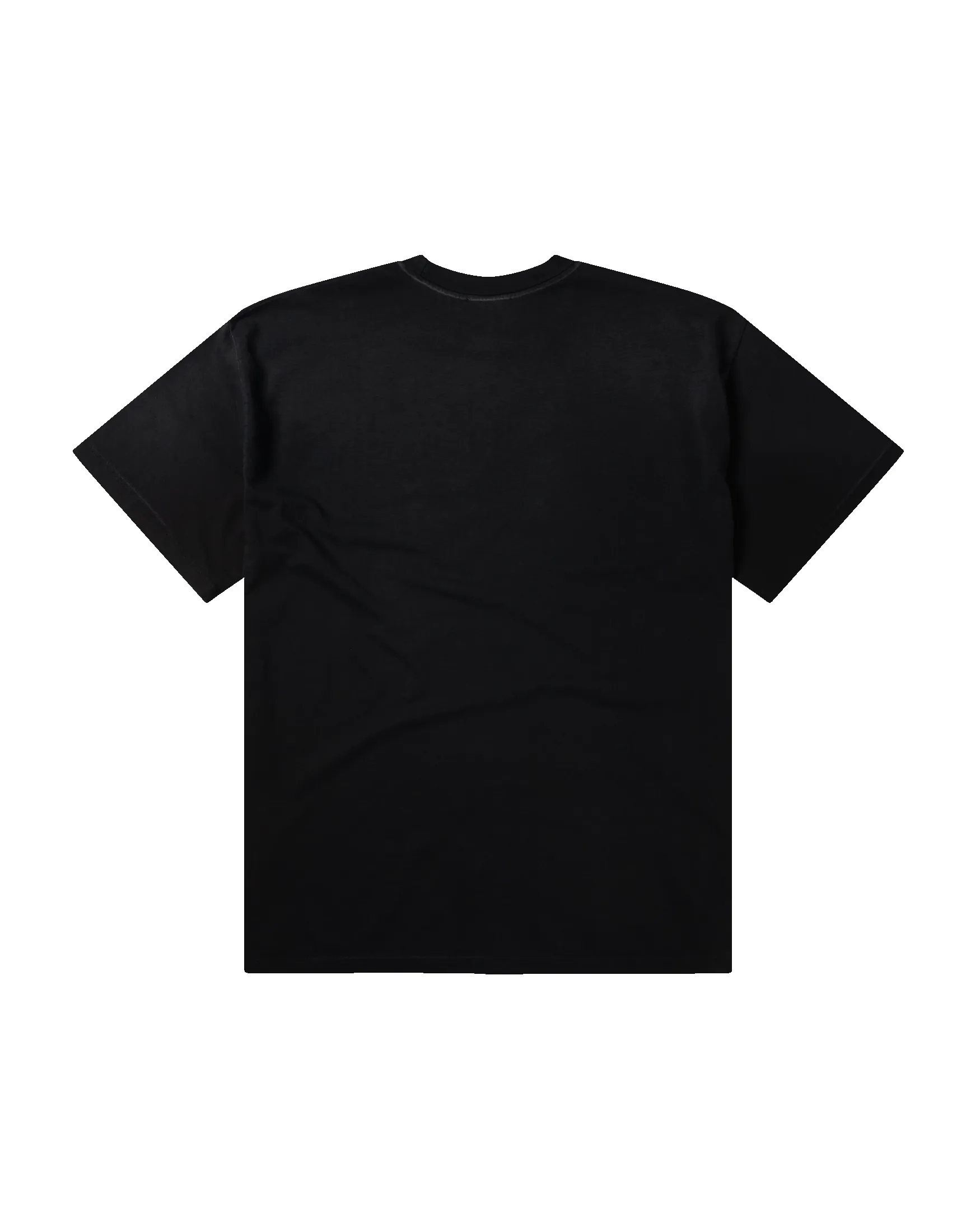 Sunbleached Ancient Temple SS Tee sold by ARIES product image thumbnail 2