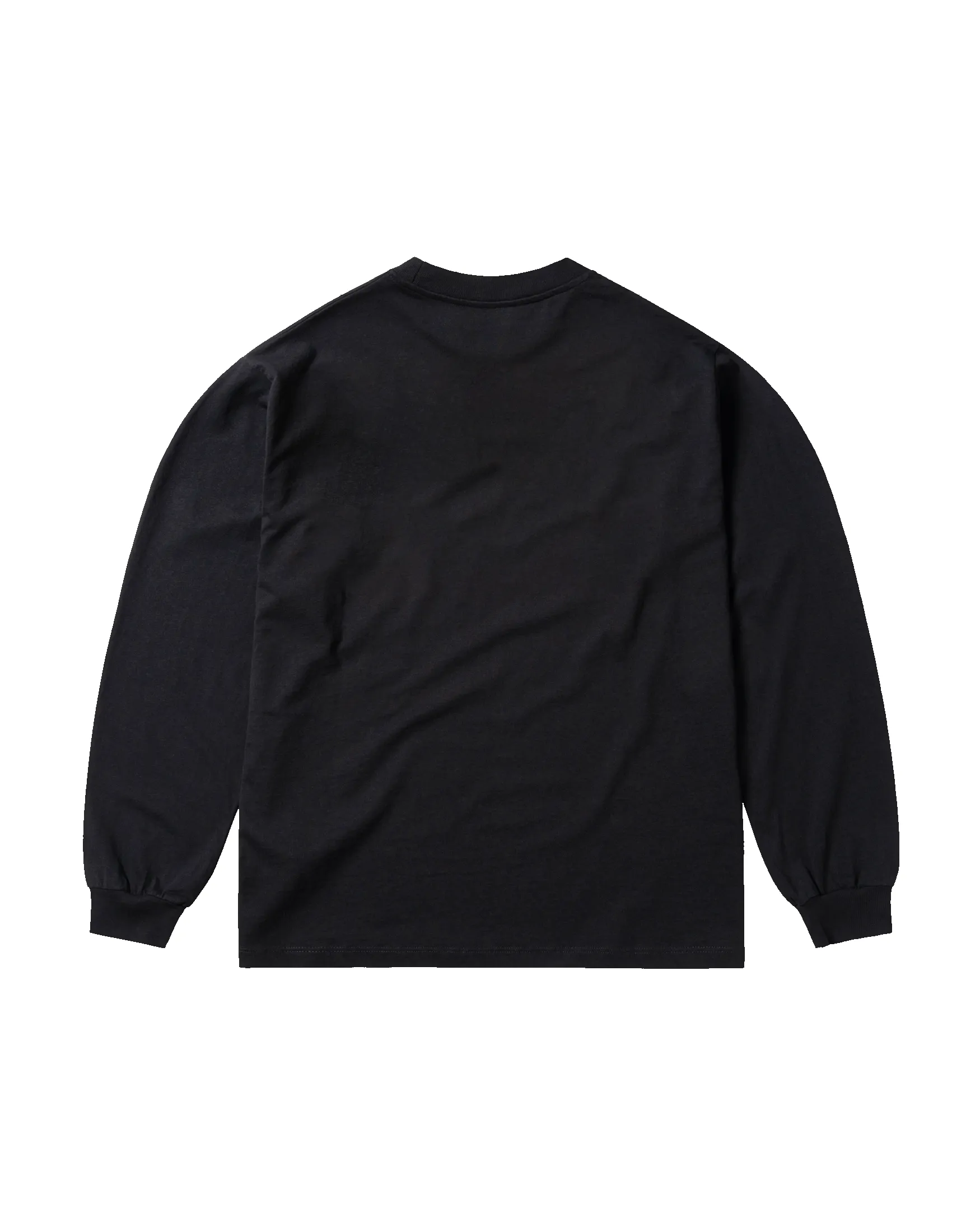 Temple LS Tee sold by ARIES product image thumbnail 2