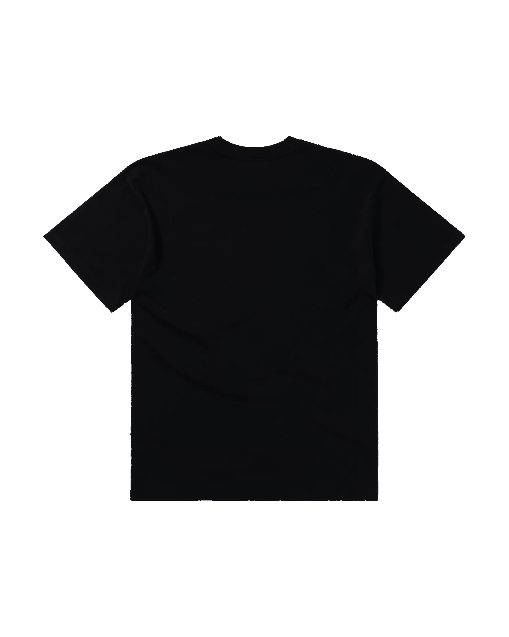 Temple SS Tee sold by ARIES product image thumbnail 2