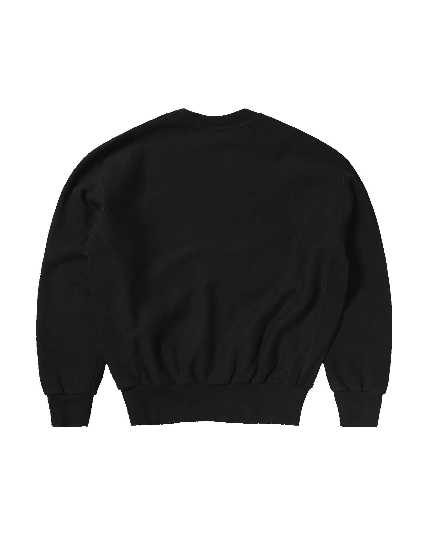Premium Temple Sweatshirt sold by ARIES product image thumbnail 2