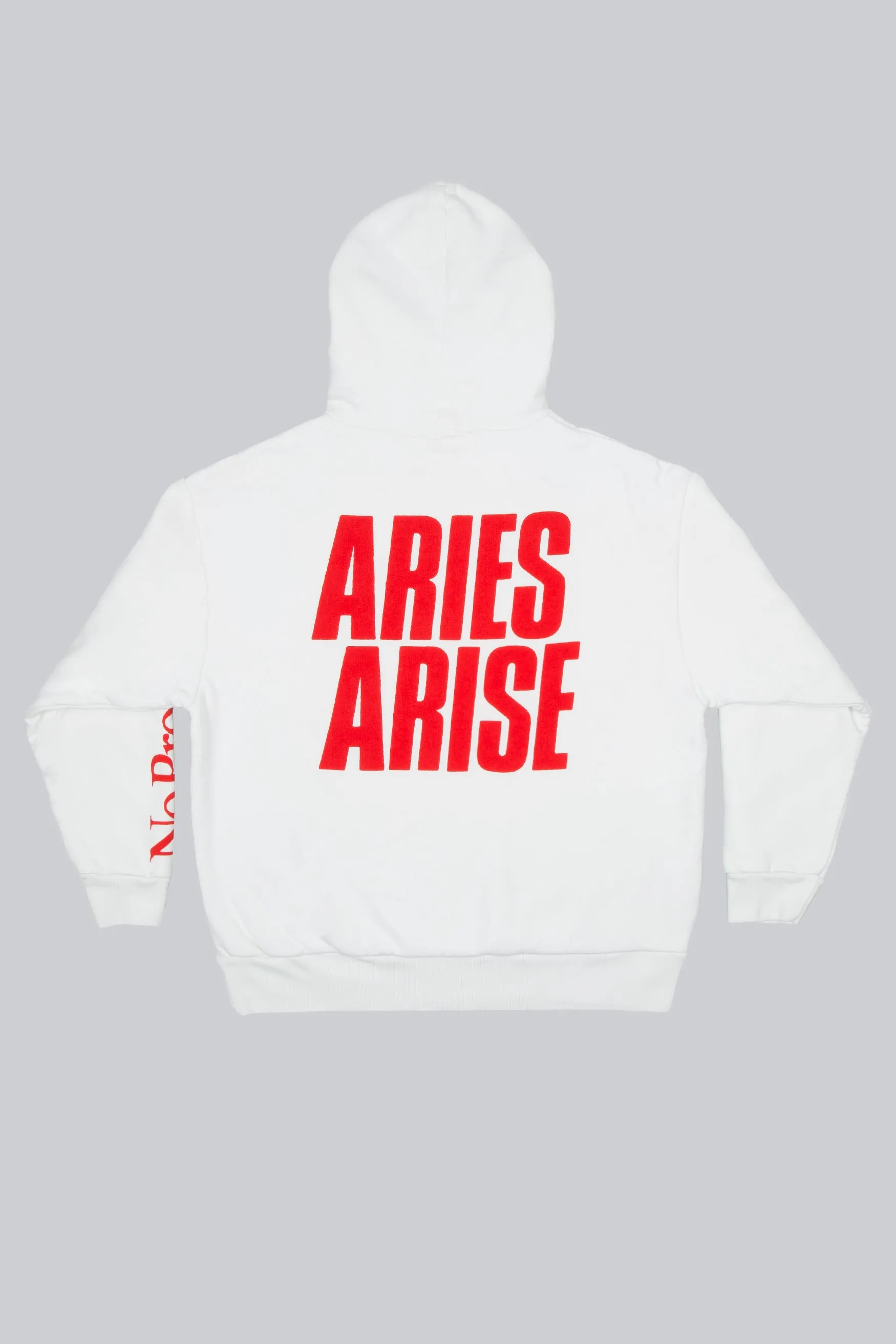Double Thickness Temple Hoodie sold by ARIES product image thumbnail 2
