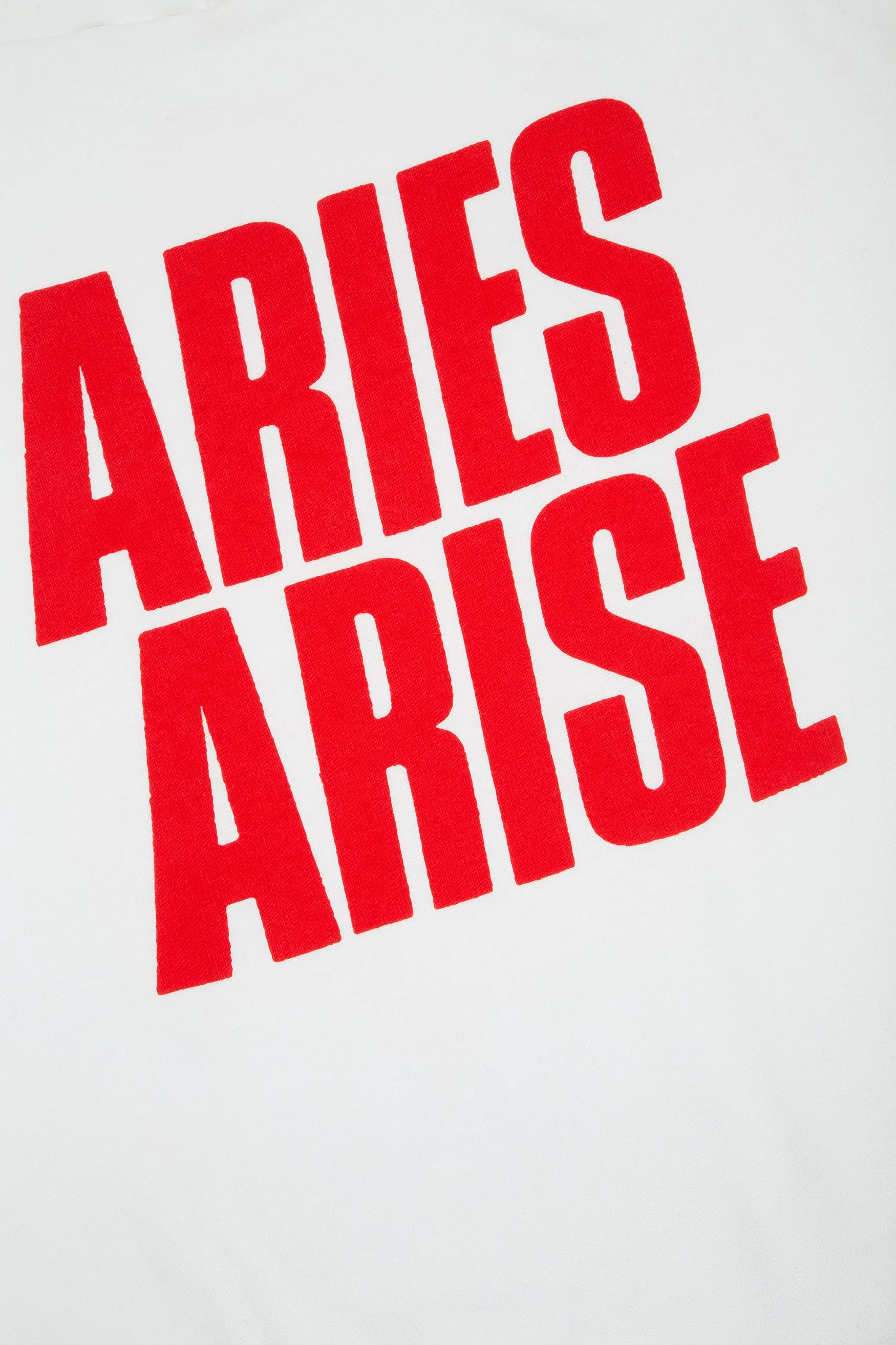 Double Thickness Temple Hoodie sold by ARIES product image thumbnail 3