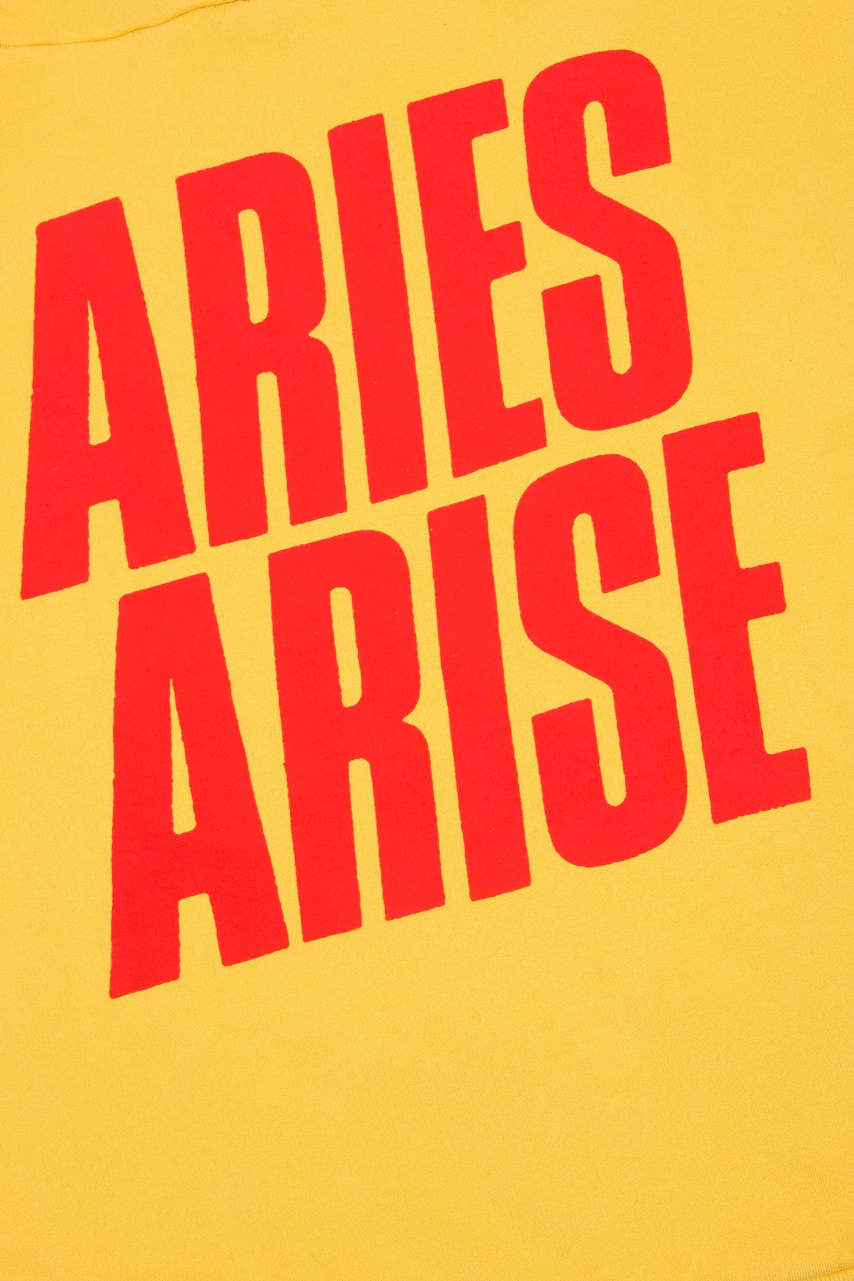 Double Thickness Hoodie sold by ARIES product image thumbnail 4