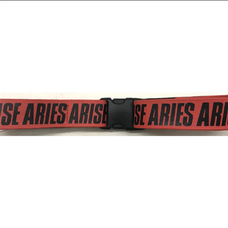 Logo Skater Belt made by ARIES