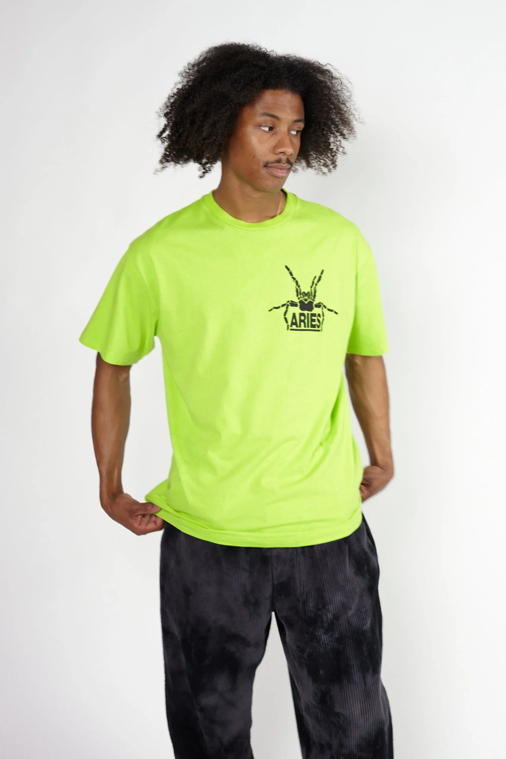 Fluoro Silas Spider SS Tee sold by ARIES product image thumbnail 2