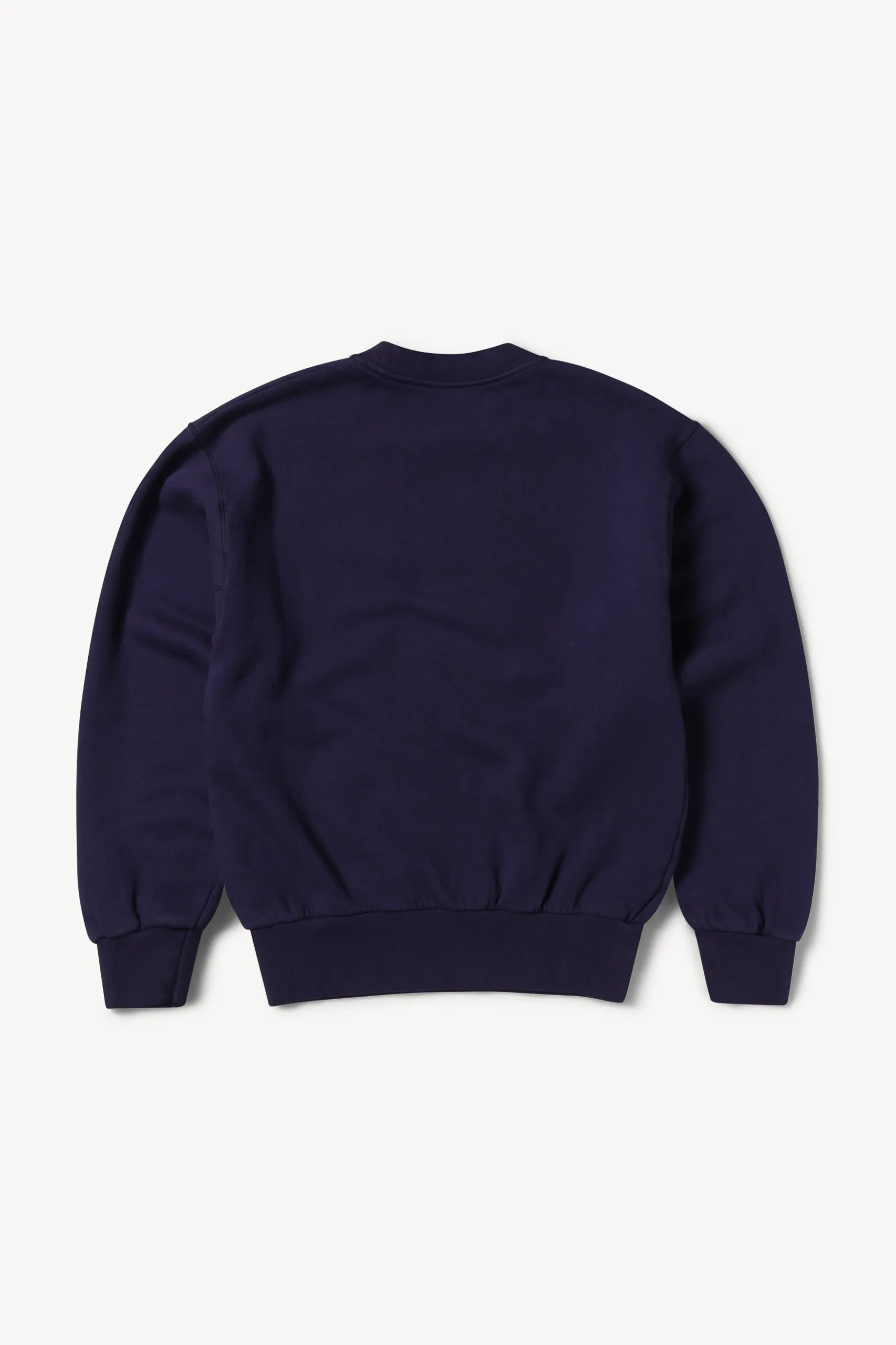 Mini Temple Sweatshirt sold by ARIES product image thumbnail 4