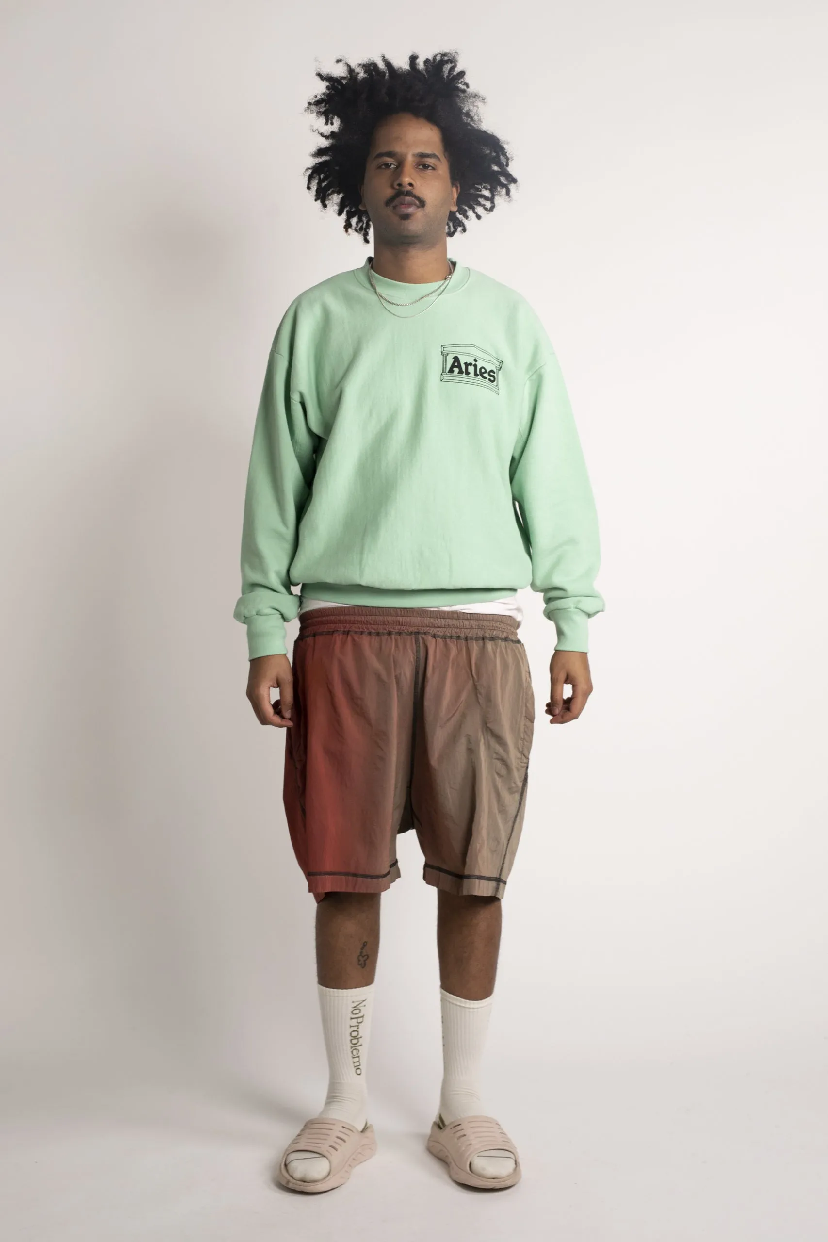 Premium Temple Sweatshirt sold by ARIES product image thumbnail 2