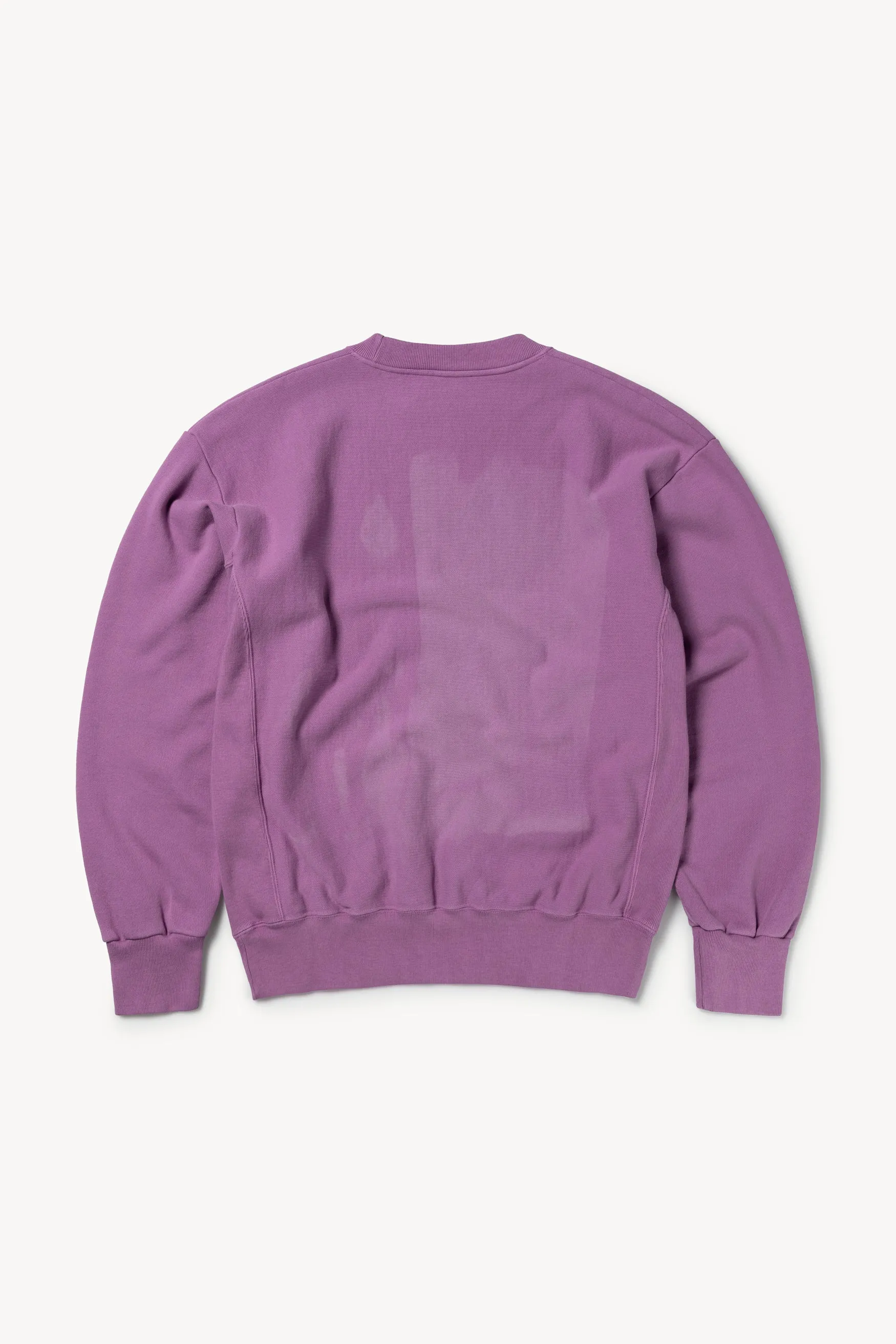 Sunbleached Cross Grain Temple Sweatshirt sold by ARIES product image thumbnail 4