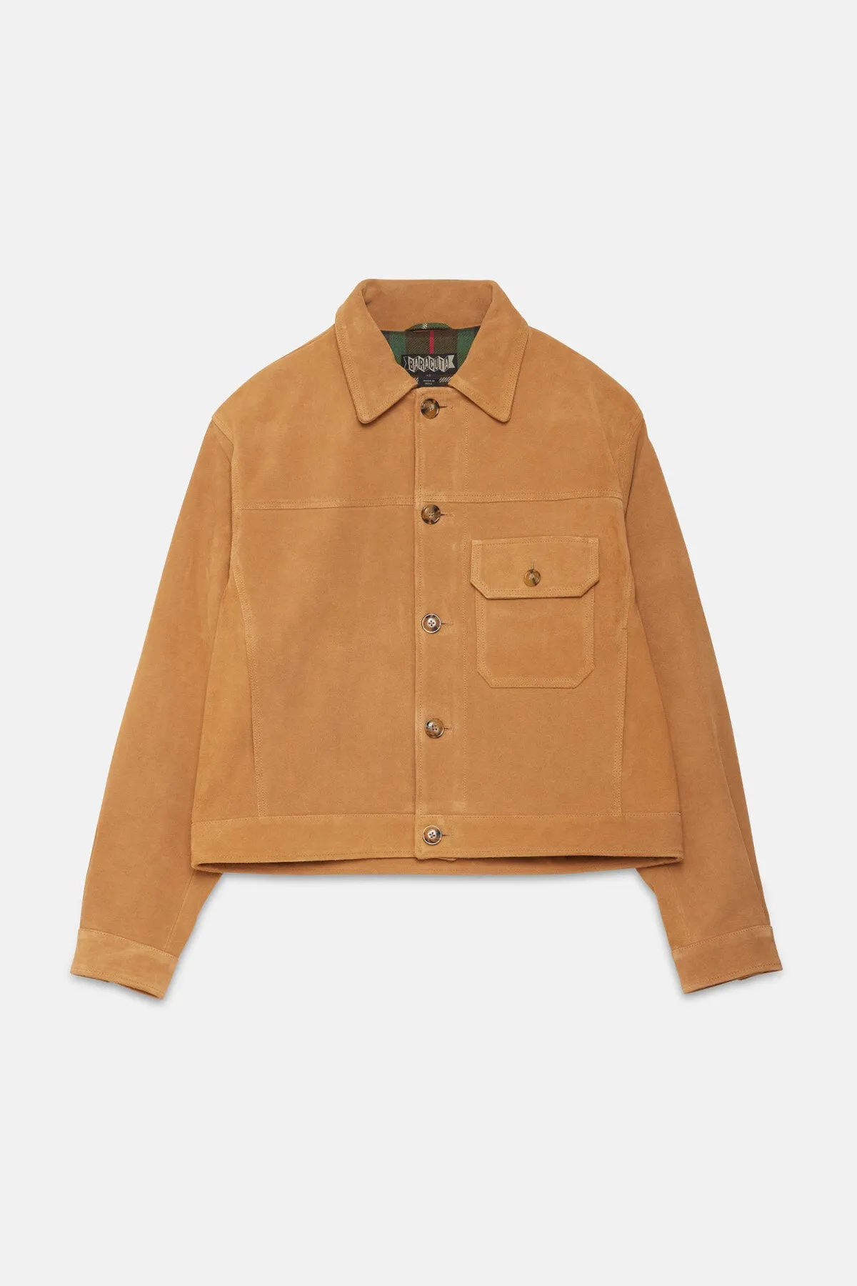 ROUGHOUT SUEDE RIDER JACKET sold by Baracuta product image thumbnail 5