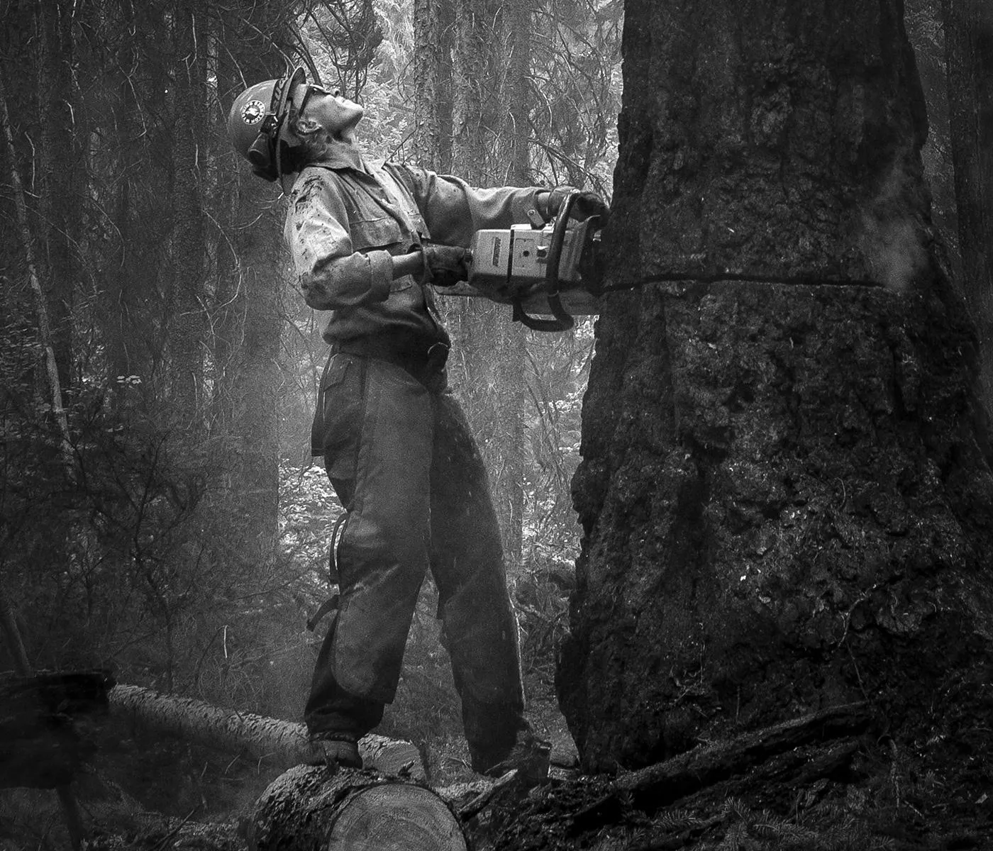 Women's Smokejumper sold by White's boots product image thumbnail 5