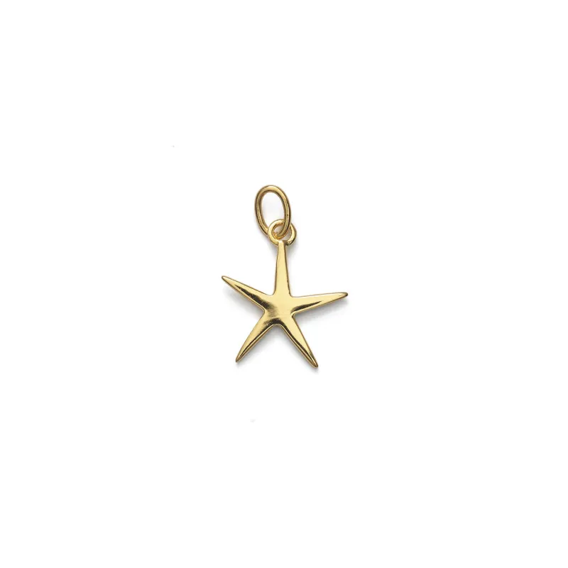 Starfish Pendant made by Anni Lu