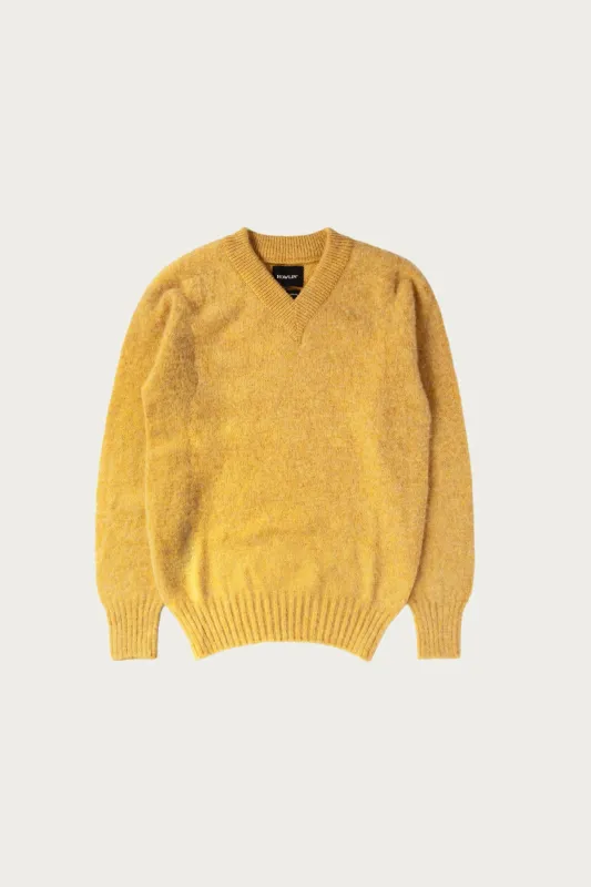 Future Memories - Blondie made by Howlin'