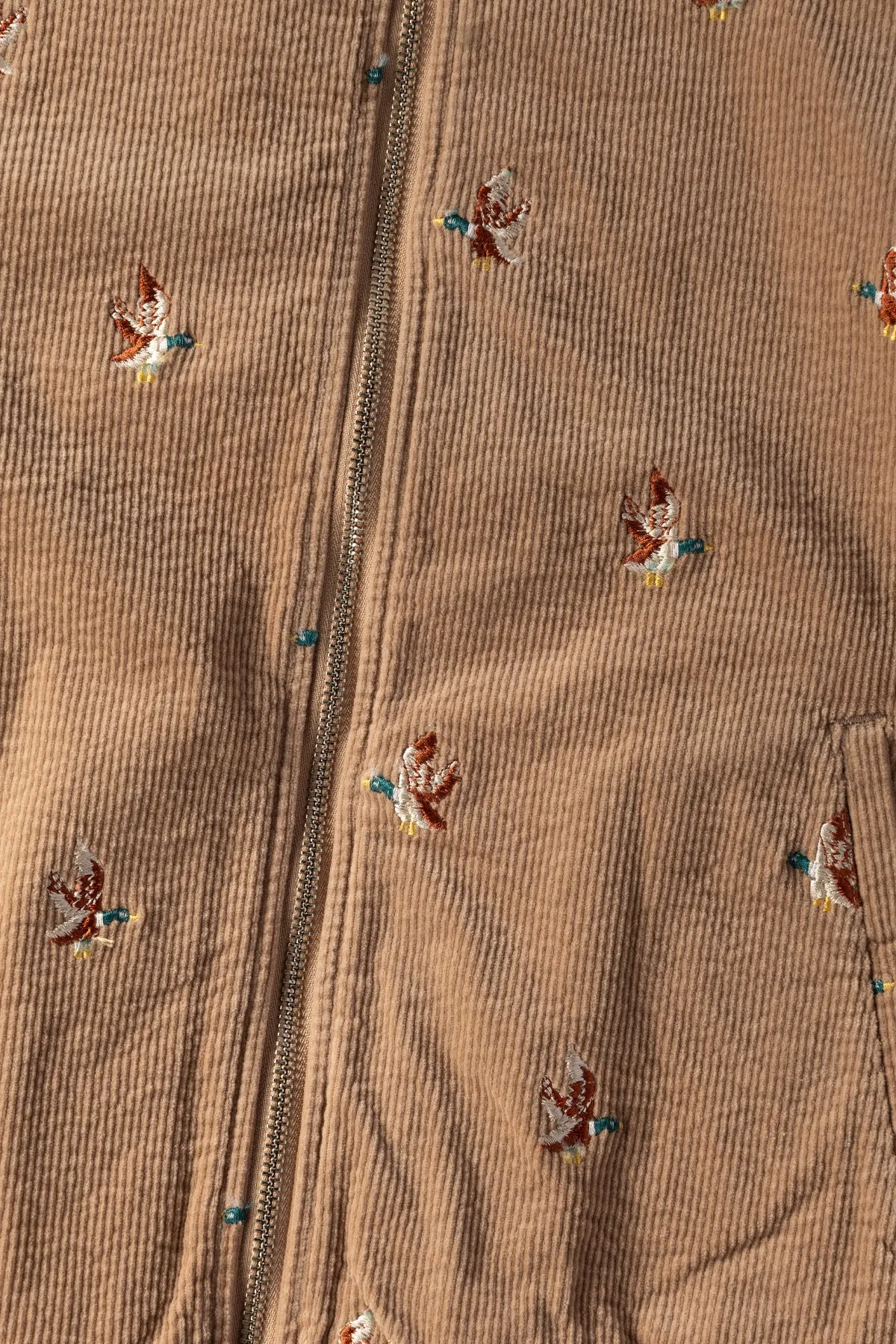 11W Stretch Corduroy DUCK Embroidery Track JKT (Banner Stripe) - Gold/Beige sold by Canoe Club product image thumbnail 3