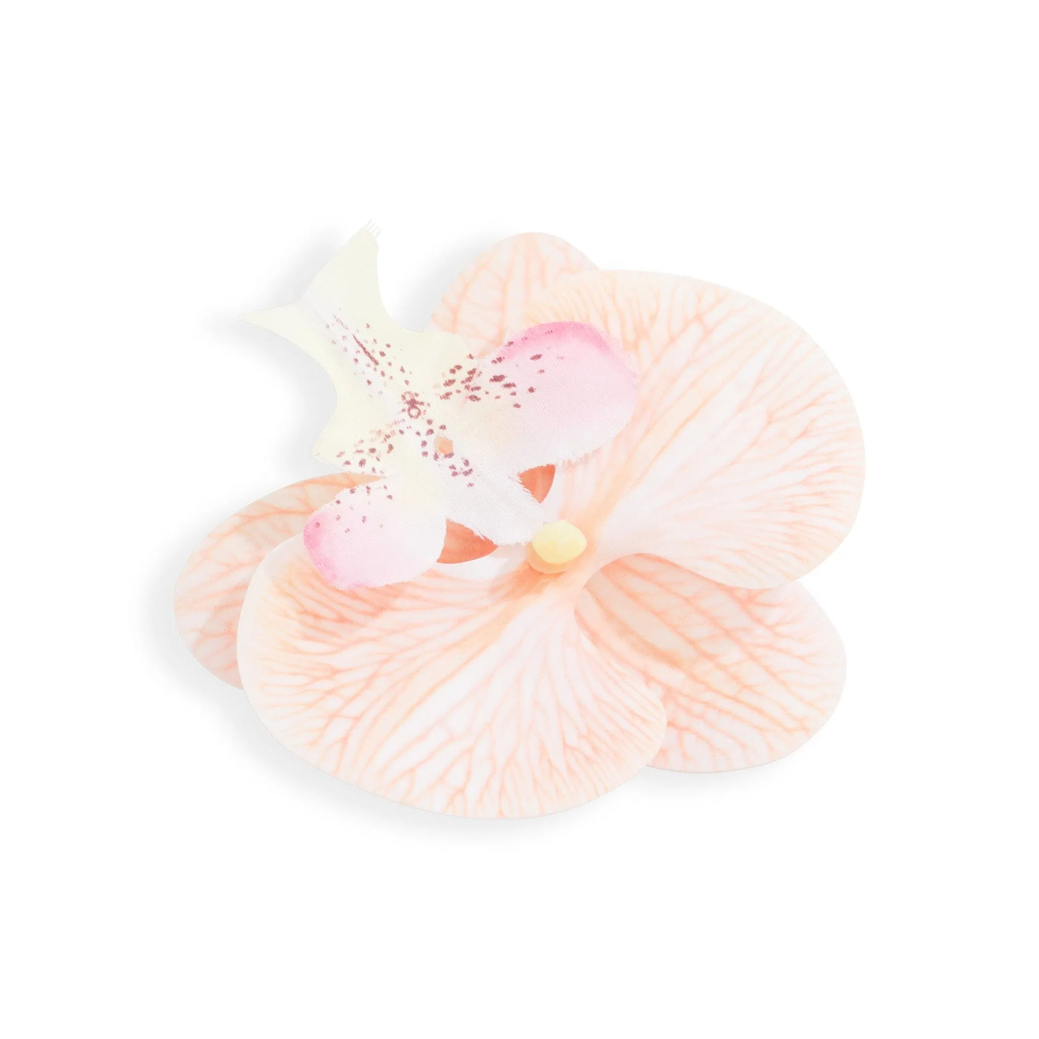 ORCHID FLOWER CREAM sold by Outcast Clothing product image thumbnail 3