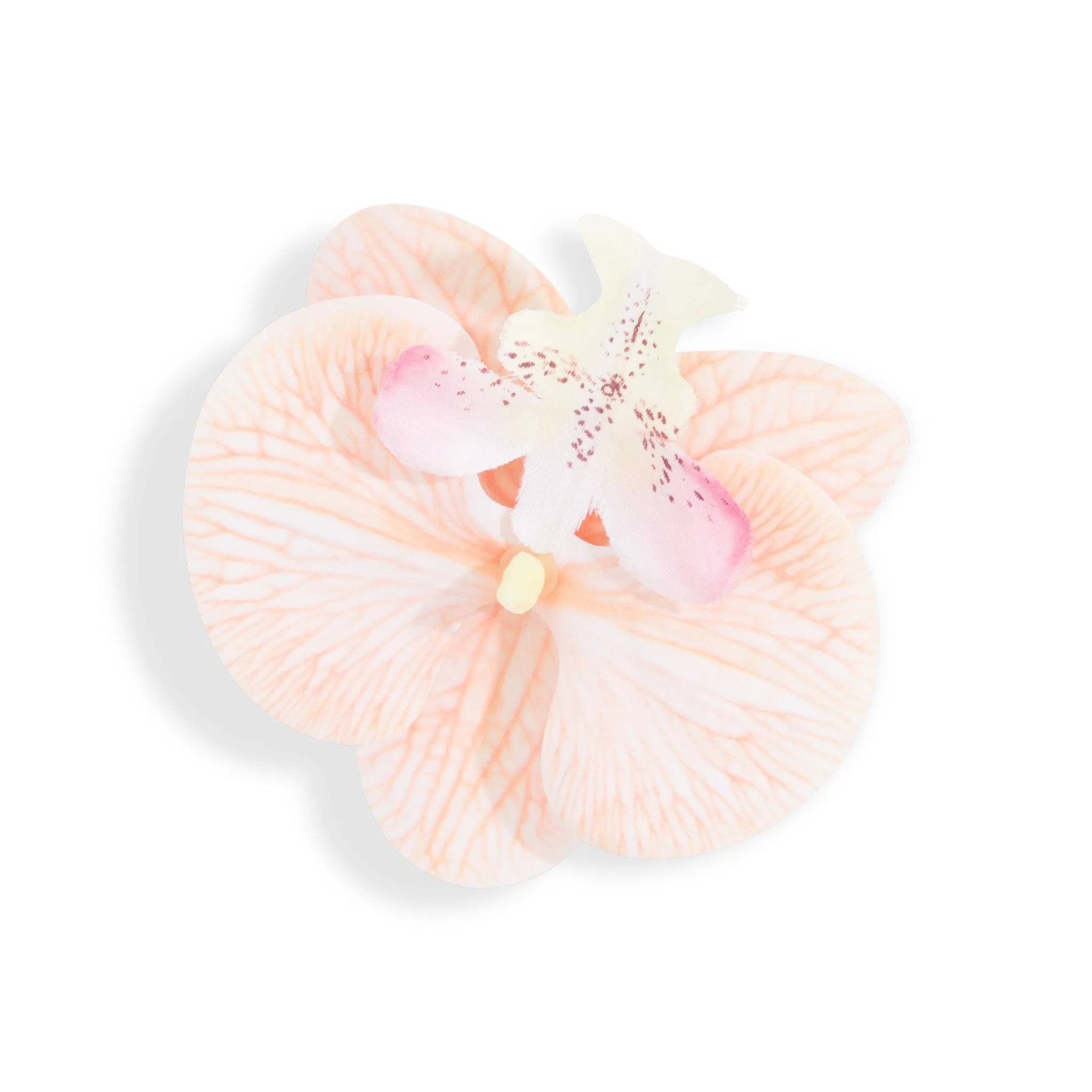 ORCHID FLOWER CREAM sold by Outcast Clothing product image thumbnail 2