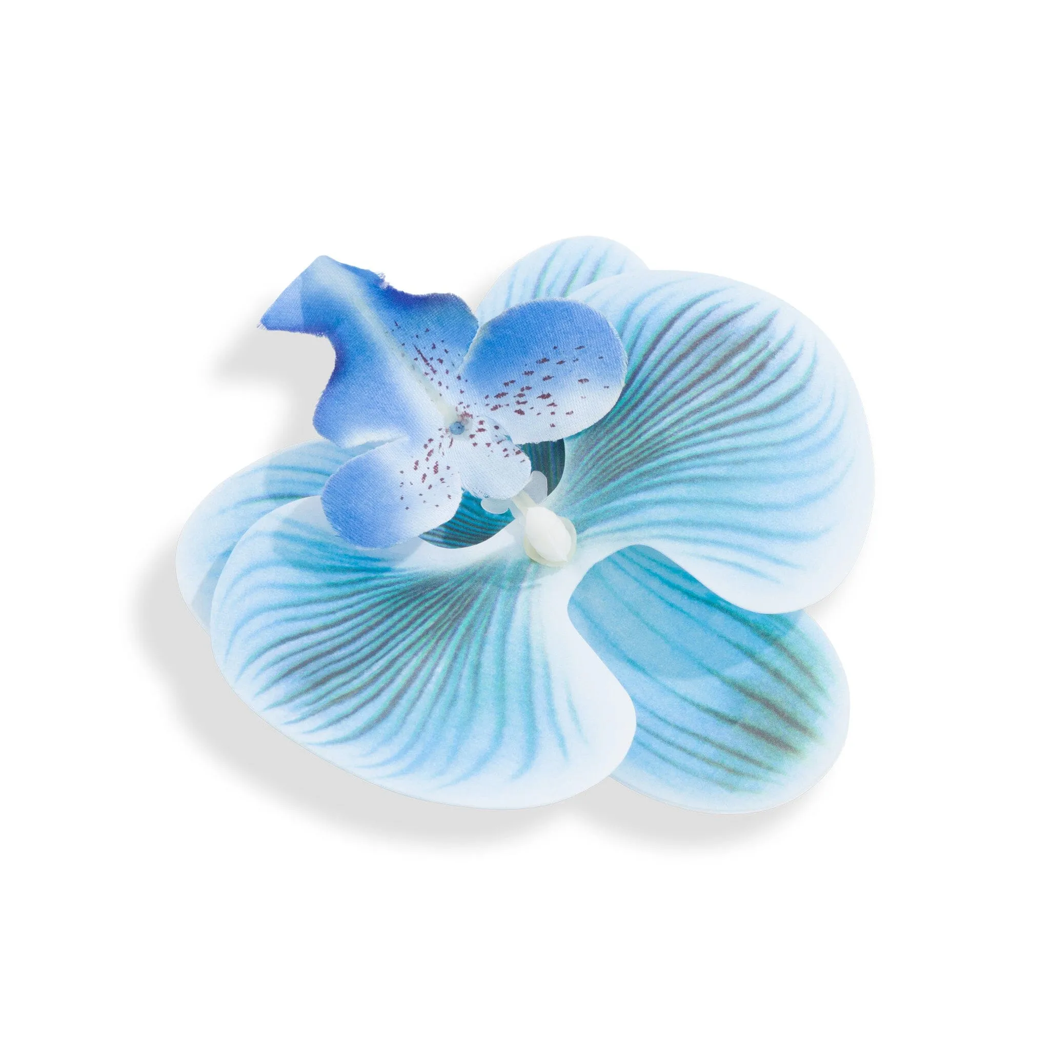 ORCHID FLOWER BLUE sold by Outcast Clothing product image thumbnail 5