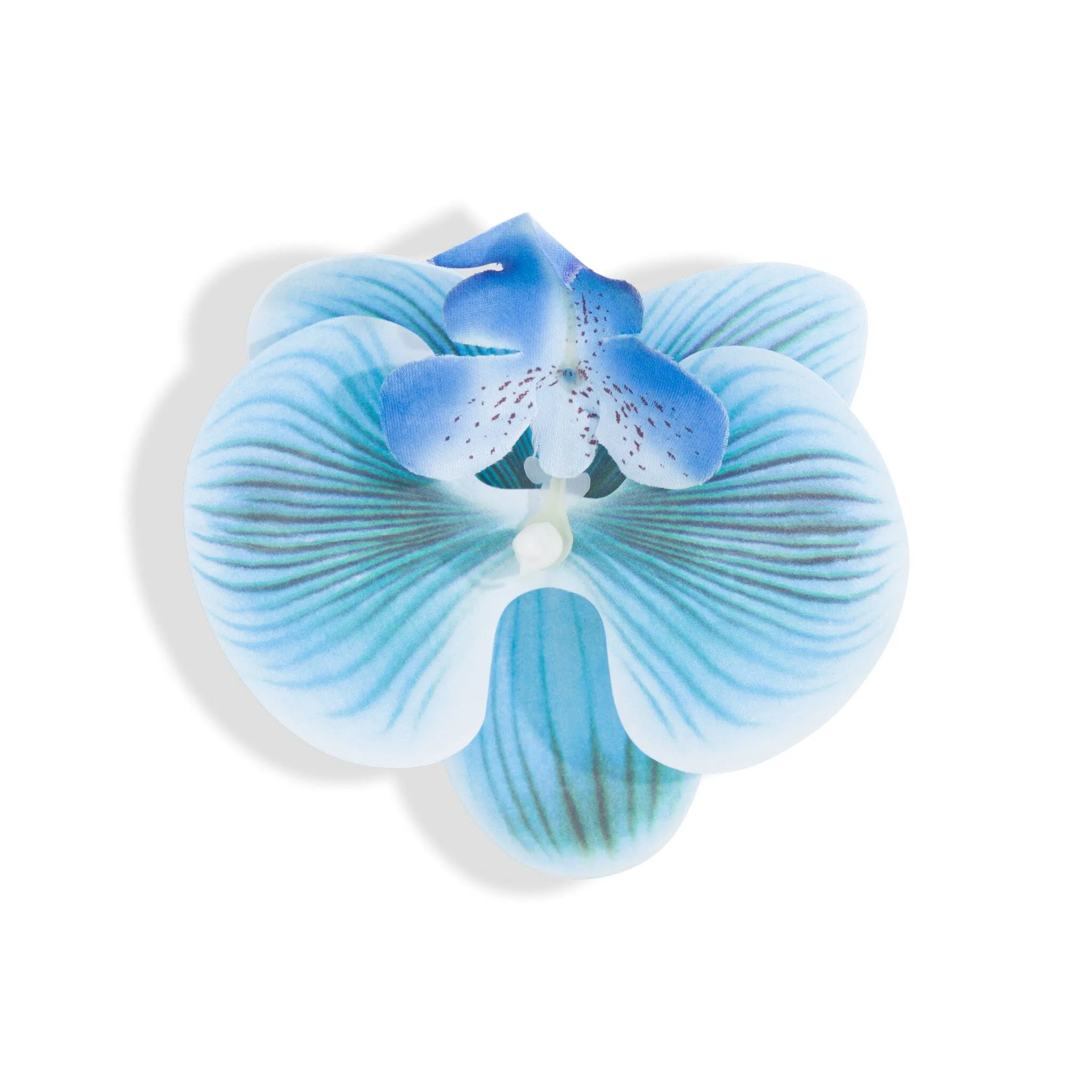 ORCHID FLOWER BLUE sold by Outcast Clothing product image thumbnail 4