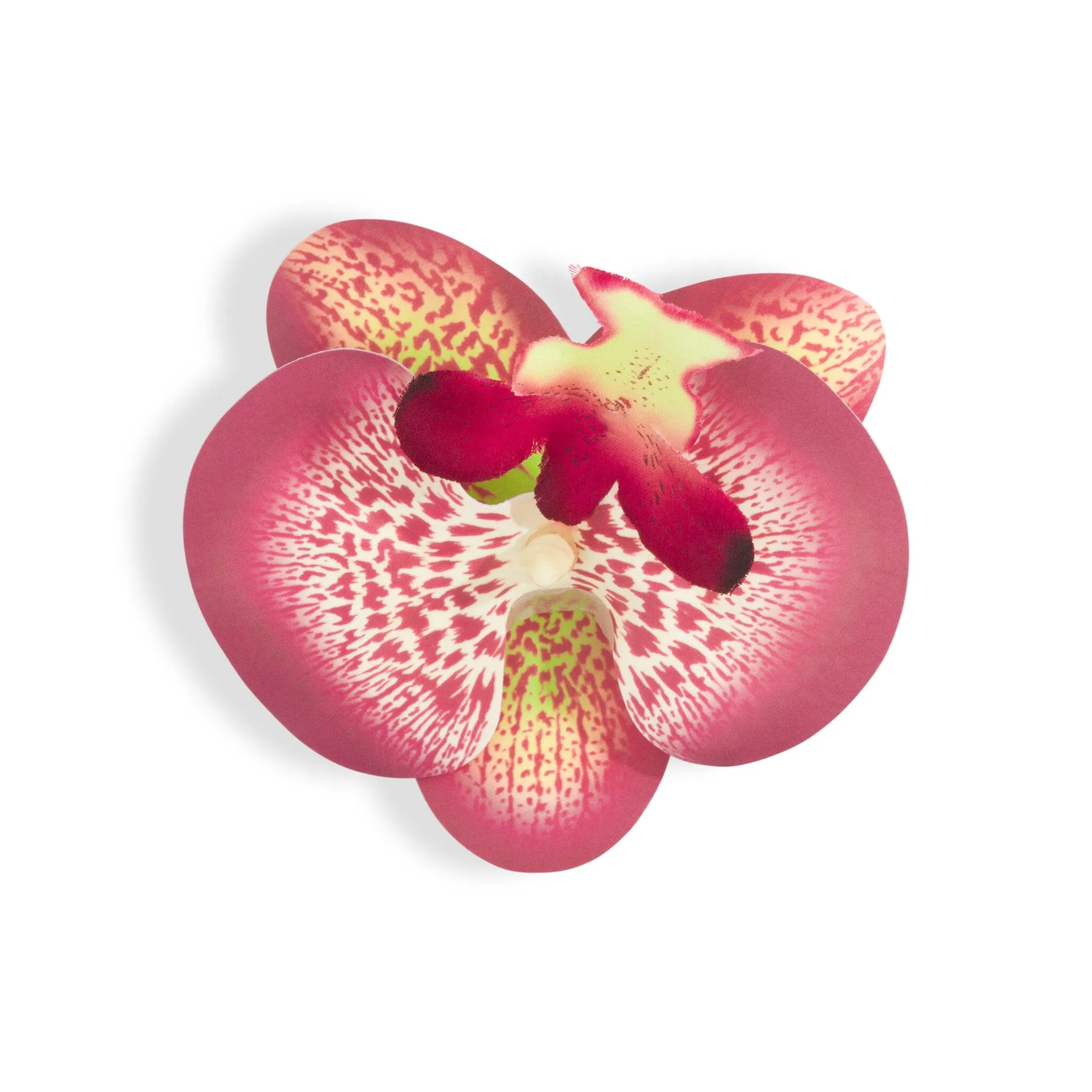 ORCHID FLOWER BURGUNDY sold by Outcast Clothing product image thumbnail 2