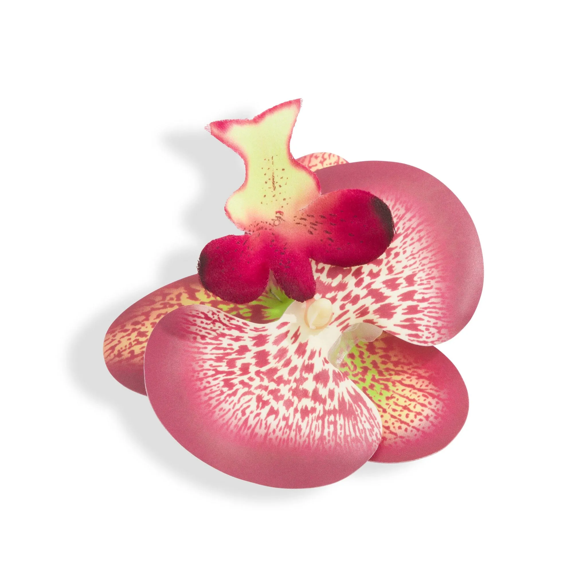 ORCHID FLOWER BURGUNDY sold by Outcast Clothing product image thumbnail 3