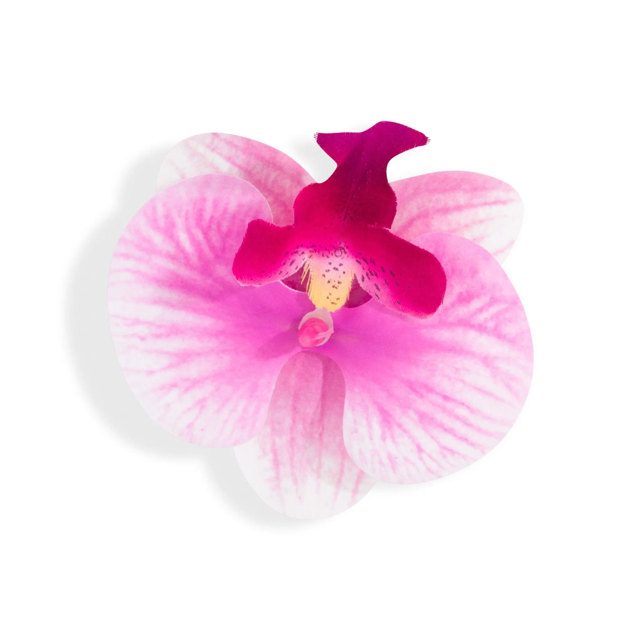 ORCHID FLOWER PINK sold by Outcast Clothing