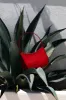 The Zona Bag Cherry Red sold by One Twelves
