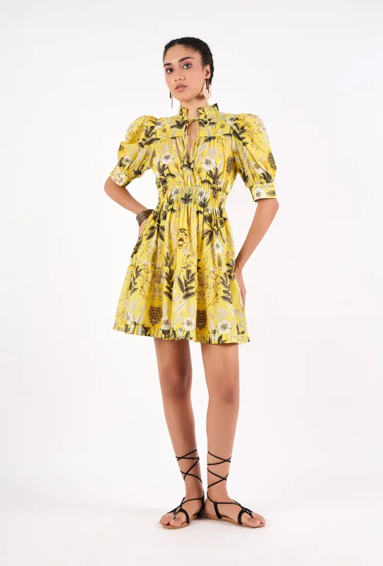 1373 Alice sold by Beyond by Vera