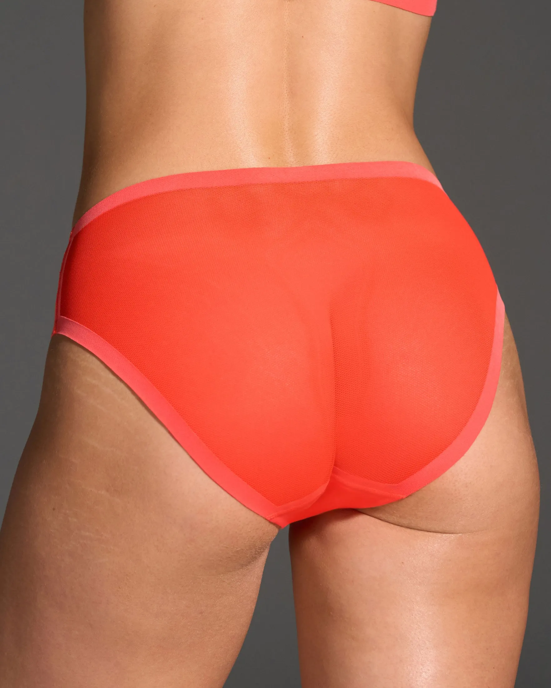 Tangerine Mesh Brief sold by EBY product image thumbnail 3