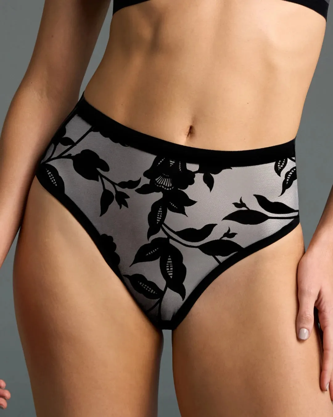 Madam Noir Sheer High Cut sold by EBY product image thumbnail 2