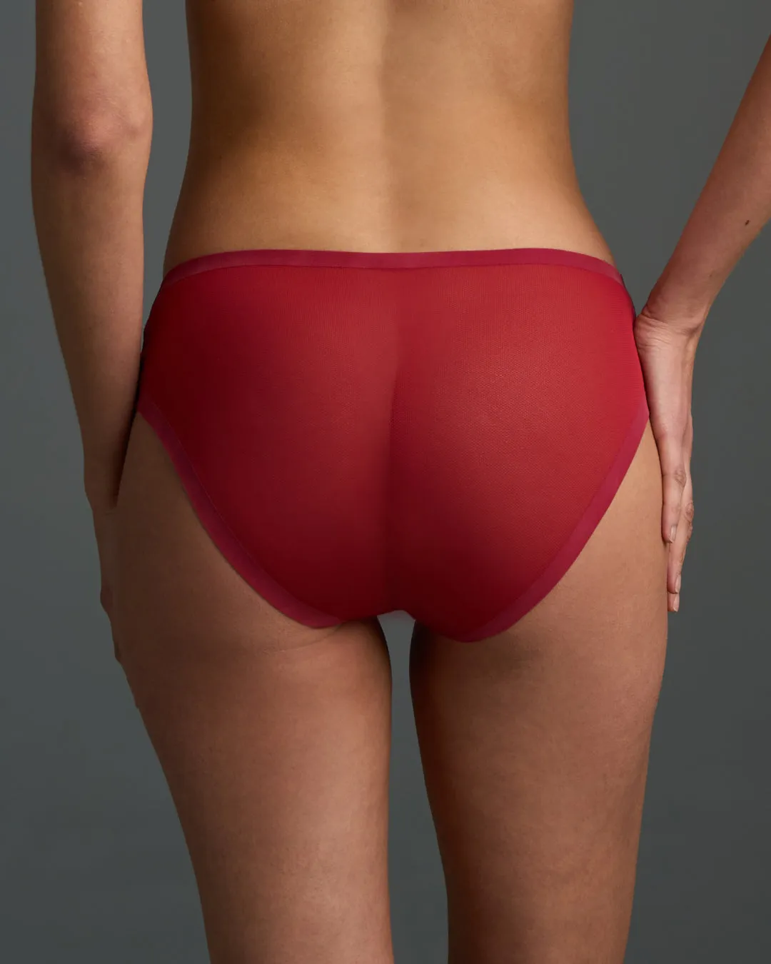 Winery Sheer Brief sold by EBY product image thumbnail 3