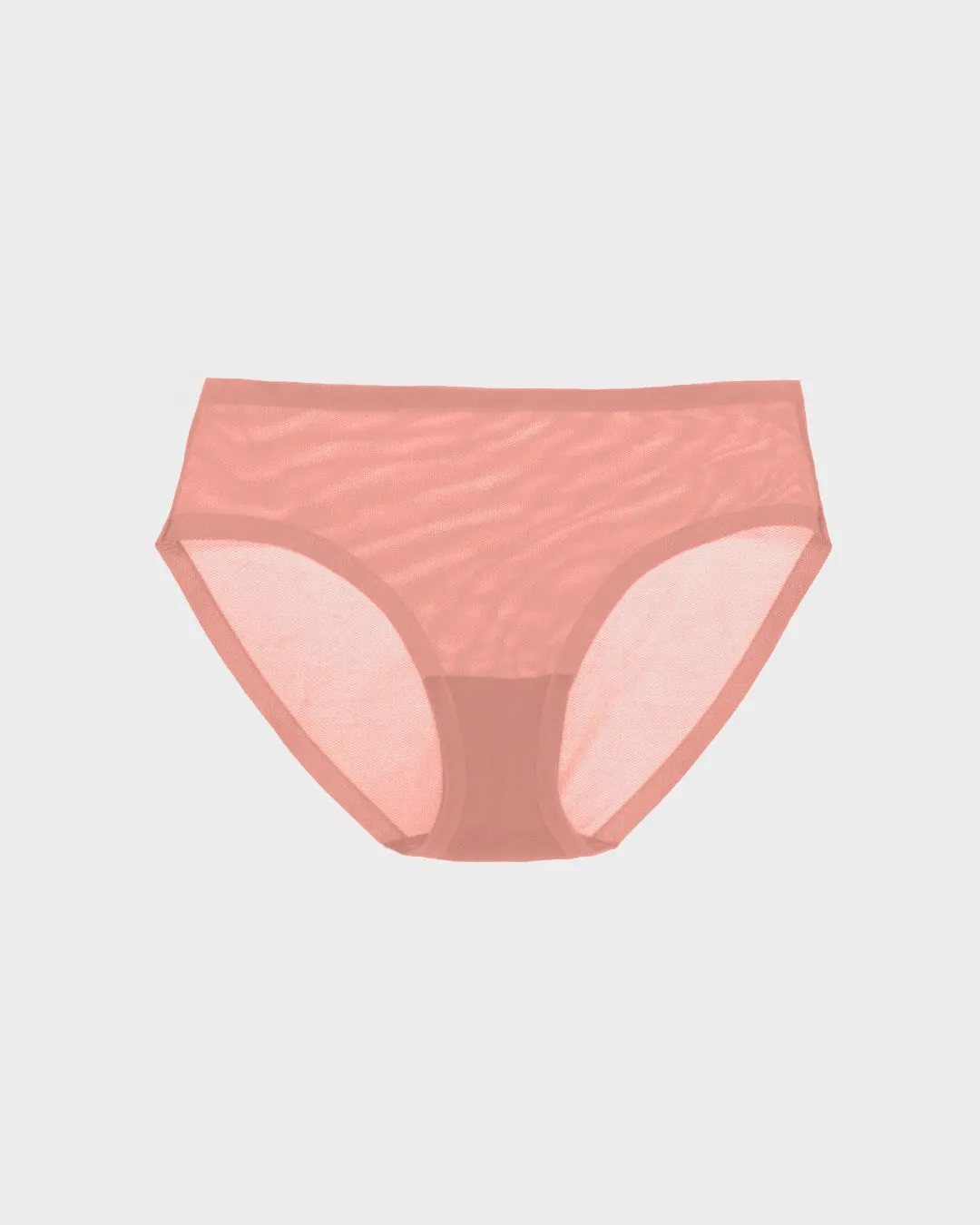 Dusty Rose Sheer Brief sold by EBY